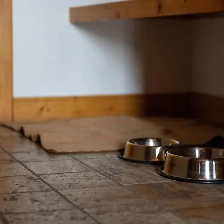 Le De Flore מלון וורבייה